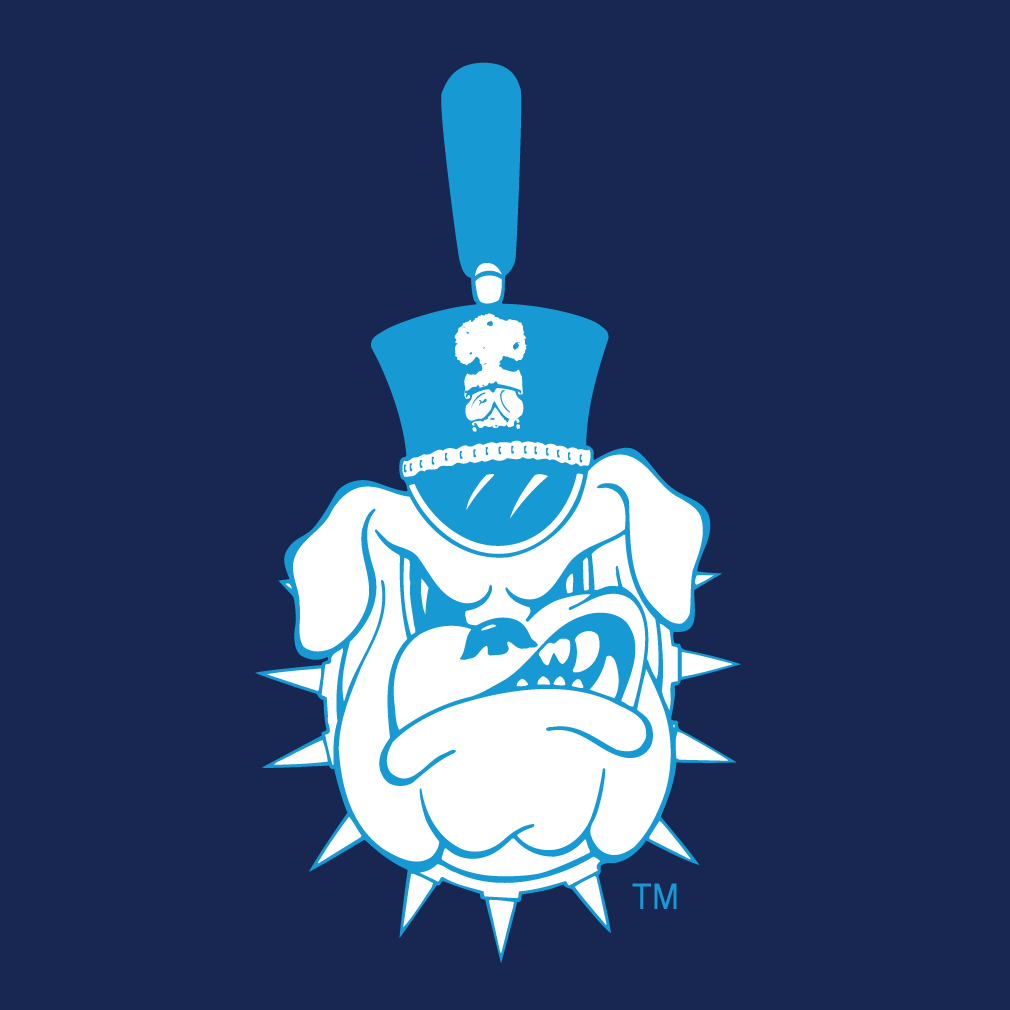 The Citadel Bulldogs logos iron-ons